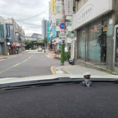 장롱면허 8년 만에 탈출한 방문운전연수 후기