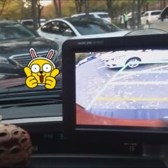 [분당] 자차운전연수 4일 만에 평행주차 정복 후기